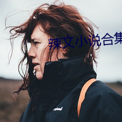 辣文(文)小(小)说合集