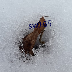 sw165