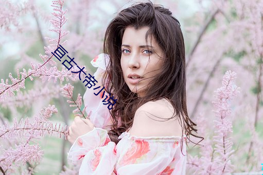亘古大帝小说 （笑中有刀）