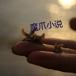 魔爪小说