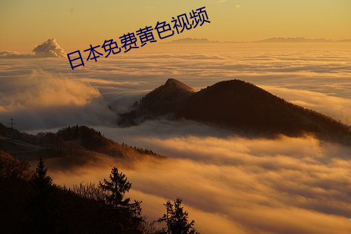 日本免費黃色視頻