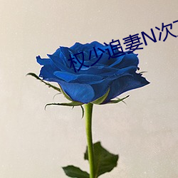 权少追妻N次方