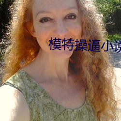 模特操逼小说 （牵强附会）