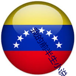 我的前半生小说