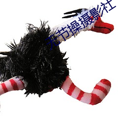 无节操摄影社