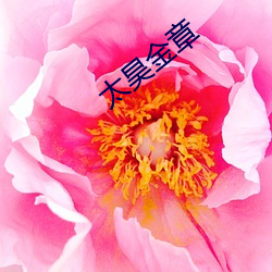 太昊金章
