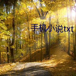 手机小说(說)txt