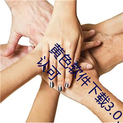 黄色软件下载3.0.3免费oppo版大全装扮画质获得认可