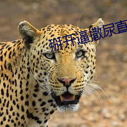 掰(掰)开逼撒(撒)尿直(直)播
