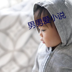 男男(nn)爱小说