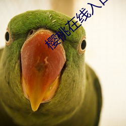BG大游(中国)唯一官方网站