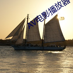 AV電影播放器