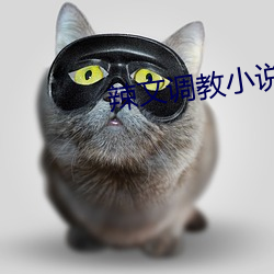 辣文調教小說