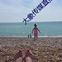 大(dà)象传媒直播