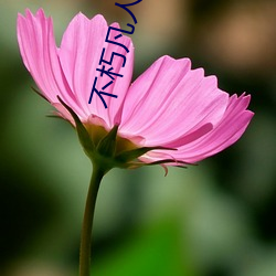 不朽凡人小說