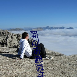 麻豆传播媒体网站