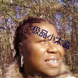 极品小太监