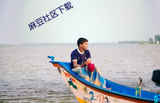 麻豆社区下载
