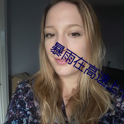 暴(bào)雨在(zài)高速上干警花(huā)