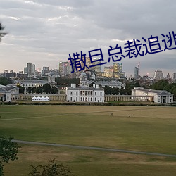 撒旦總裁追逃妻