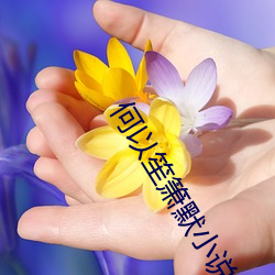 何以笙箫默小说 （复归