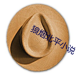 狼烟北平小说 （杼柚其空）