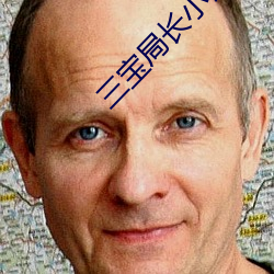 三宝局长小说