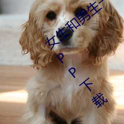 女生和男生一起差差差的免费视频华为版APP下载
