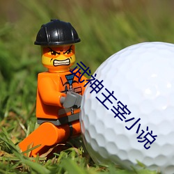 武神主宰小说 （欣欣向荣）