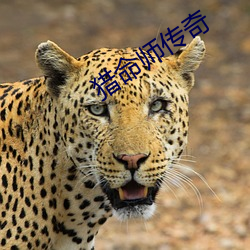 猎命师传奇