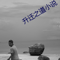 升迁之道(dào)小(xiǎo)说