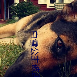 鸿运国际·(中国)会员登录入口