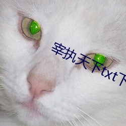 ca88手机客户端(安卓/苹果)CA88会员登录入口