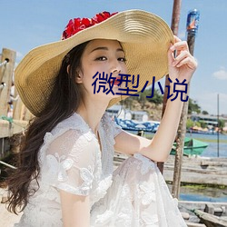 微型小说