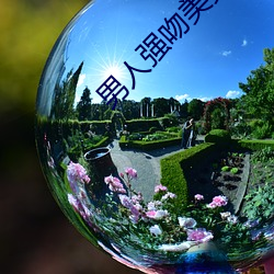 金年会(中国)官方网站