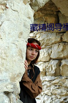 藏精阁导福航藏精阁