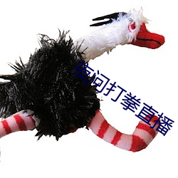 夜问打拳直播 （天地剖判