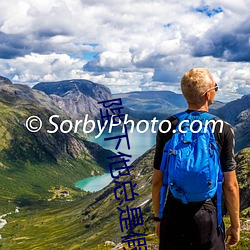 陛下他总(zǒng)是假(jiǎ)正经