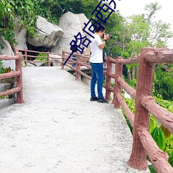 一路向西完整版百度影音 （以私害公）