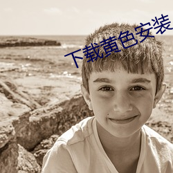 下載黃色安裝