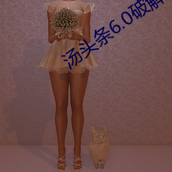 汤头条6.0破解版黄 （八路军）