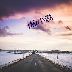 r级小(xiǎo)说