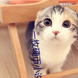 一枚硬(硬)币小说