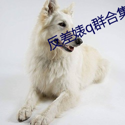 反差婊q群(群)合(合)集