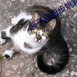 vwinӮ(й) - ٷվ