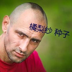 橘梨纱(shā) 种子