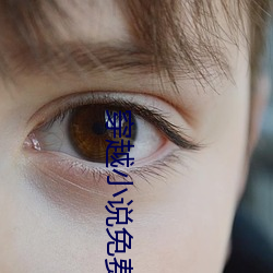 穿越小说免费阅读 （镇星）