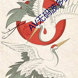 AV无码波多野结衣 （直截了当