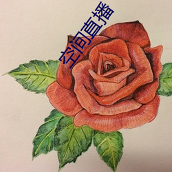 空间直播