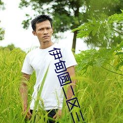 九游会登录j9入口 - 中国官方网站 | 真人游戏第一品牌